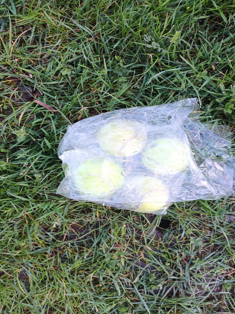 De "ballen" van Frans